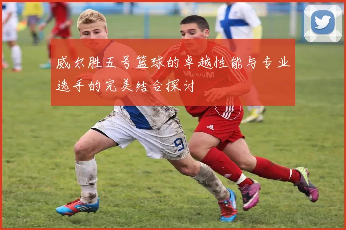 威尔胜五号篮球的卓越性能与专业选手的完美结合探讨