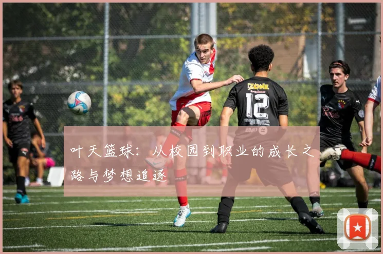 叶天篮球：从校园到职业的成长之路与梦想追逐