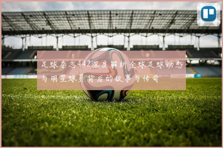 足球杂志442深度解析全球足球动态与明星球员背后的故事与传奇