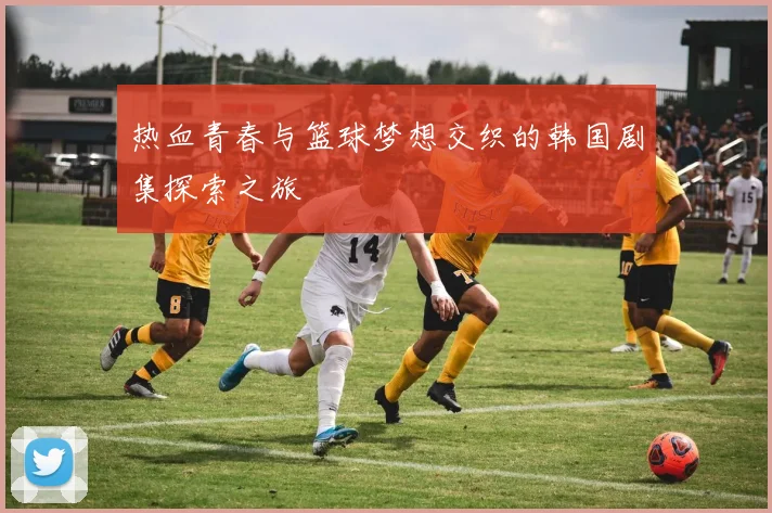 热血青春与篮球梦想交织的韩国剧集探索之旅