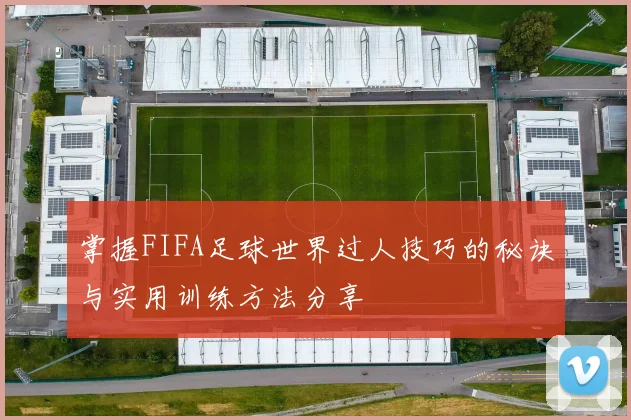 掌握FIFA足球世界过人技巧的秘诀与实用训练方法分享
